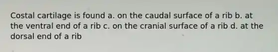 Costal cartilage is found a. on the caudal surface of a rib b. at the ventral end of a rib c. on the cranial surface of a rib d. at the dorsal end of a rib