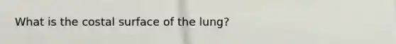 What is the costal surface of the lung?