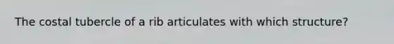 The costal tubercle of a rib articulates with which structure?