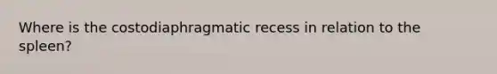 Where is the costodiaphragmatic recess in relation to the spleen?