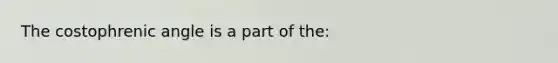 The costophrenic angle is a part of the: