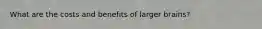 What are the costs and benefits of larger brains?