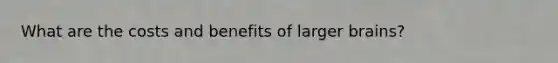 What are the costs and benefits of larger brains?