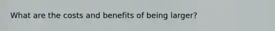 What are the costs and benefits of being larger?