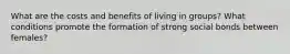 What are the costs and benefits of living in groups? What conditions promote the formation of strong social bonds between females?