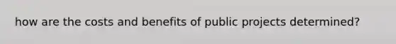 how are the costs and benefits of public projects determined?