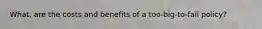 What. are the costs and benefits of a too-big-to-fail policy?