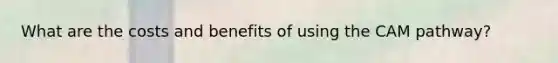 What are the costs and benefits of using the CAM pathway?