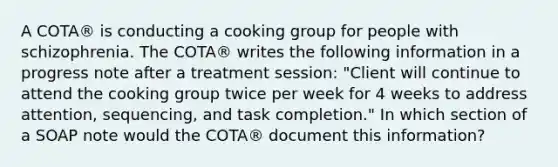 A COTA® is conducting a cooking group for people with schizophrenia. The COTA® writes the following information in a progress note after a treatment session: "Client will continue to attend the cooking group twice per week for 4 weeks to address attention, sequencing, and task completion." In which section of a SOAP note would the COTA® document this information?