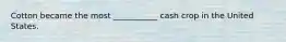 Cotton became the most ___________ cash crop in the United States.