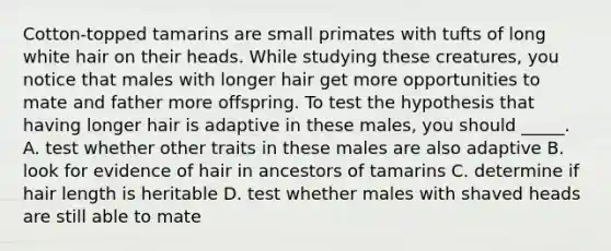 Cotton-topped tamarins are small primates with tufts of long white hair on their heads. While studying these creatures, you notice that males with longer hair get more opportunities to mate and father more offspring. To test the hypothesis that having longer hair is adaptive in these males, you should _____. A. test whether other traits in these males are also adaptive B. look for evidence of hair in ancestors of tamarins C. determine if hair length is heritable D. test whether males with shaved heads are still able to mate
