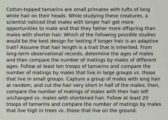 Cotton-topped tamarins are small primates with tufts of long white hair on their heads. While studying these creatures, a scientist noticed that males with longer hair get more opportunities to mate and that they father more offspring than males with shorter hair. Which of the following possible studies would be the best design for testing if longer hair is an adaptive trait? Assume that hair length is a trait that is inherited. From long-term observational records, determine the ages of males and then compare the number of matings by males of different ages. Follow at least ten troops of tamarins and compare the number of matings by males that live in large groups vs. those that live in small groups. Capture a group of males with long hair at random, and cut the hair very short in half of the males; then, compare the number of matings of males with their hair left unchanged vs. males with shortened hair. Follow at least 20 troops of tamarins and compare the number of matings by males that live high in trees vs. those that live on the ground.