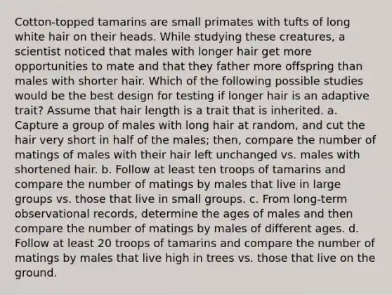 Cotton-topped tamarins are small primates with tufts of long white hair on their heads. While studying these creatures, a scientist noticed that males with longer hair get more opportunities to mate and that they father more offspring than males with shorter hair. Which of the following possible studies would be the best design for testing if longer hair is an adaptive trait? Assume that hair length is a trait that is inherited. a. Capture a group of males with long hair at random, and cut the hair very short in half of the males; then, compare the number of matings of males with their hair left unchanged vs. males with shortened hair. b. Follow at least ten troops of tamarins and compare the number of matings by males that live in large groups vs. those that live in small groups. c. From long-term observational records, determine the ages of males and then compare the number of matings by males of different ages. d. Follow at least 20 troops of tamarins and compare the number of matings by males that live high in trees vs. those that live on the ground.