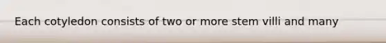 Each cotyledon consists of two or more stem villi and many