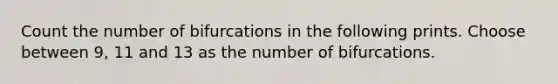 Count the number of bifurcations in the following prints. Choose between 9, 11 and 13 as the number of bifurcations.