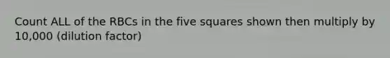 Count ALL of the RBCs in the five squares shown then multiply by 10,000 (dilution factor)