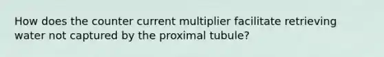 How does the counter current multiplier facilitate retrieving water not captured by the proximal tubule?