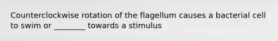 Counterclockwise rotation of the flagellum causes a bacterial cell to swim or ________ towards a stimulus