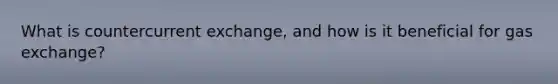 What is countercurrent exchange, and how is it beneficial for gas exchange?