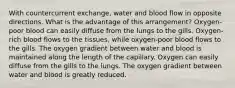 With countercurrent exchange, water and blood flow in opposite directions. What is the advantage of this arrangement? Oxygen-poor blood can easily diffuse from the lungs to the gills. Oxygen-rich blood flows to the tissues, while oxygen-poor blood flows to the gills. The oxygen gradient between water and blood is maintained along the length of the capillary. Oxygen can easily diffuse from the gills to the lungs. The oxygen gradient between water and blood is greatly reduced.