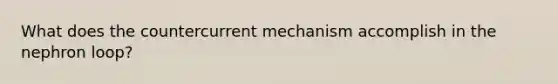 What does the countercurrent mechanism accomplish in the nephron loop?