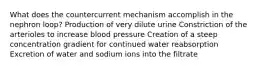 What does the countercurrent mechanism accomplish in the nephron loop? Production of very dilute urine Constriction of the arterioles to increase blood pressure Creation of a steep concentration gradient for continued water reabsorption Excretion of water and sodium ions into the filtrate