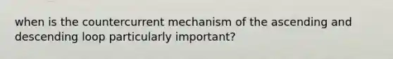 when is the countercurrent mechanism of the ascending and descending loop particularly important?