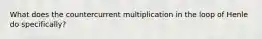 What does the countercurrent multiplication in the loop of Henle do specifically?