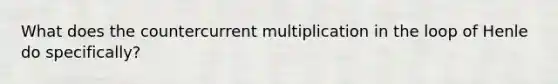 What does the countercurrent multiplication in the loop of Henle do specifically?