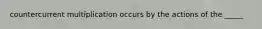 countercurrent multiplication occurs by the actions of the _____