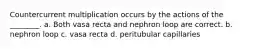 Countercurrent multiplication occurs by the actions of the ________. a. Both vasa recta and nephron loop are correct. b. nephron loop c. vasa recta d. peritubular capillaries