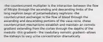 -the countercurrent multiplier is the interaction between the flow of filtrate through the ascending and descending limbs of the long nephron loops of juxtamedullary nephrons -the countercurrent exchanger is the flow of blood through the ascending and descending portions of the vasa recta -these countercurrent mechanisms establish and maintain an osmotic gradient extending from the cortex through the depths of the medulla -this gradient-- the medullary osmotic gradient--allows the kidneys to vary urine concentration dramatically