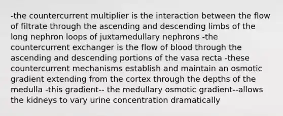 -the countercurrent multiplier is the interaction between the flow of filtrate through the ascending and descending limbs of the long nephron loops of juxtamedullary nephrons -the countercurrent exchanger is the flow of blood through the ascending and descending portions of the vasa recta -these countercurrent mechanisms establish and maintain an osmotic gradient extending from the cortex through the depths of the medulla -this gradient-- the medullary osmotic gradient--allows the kidneys to vary urine concentration dramatically