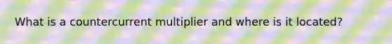 What is a countercurrent multiplier and where is it located?