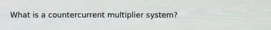 What is a countercurrent multiplier system?