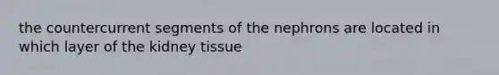 the countercurrent segments of the nephrons are located in which layer of the kidney tissue