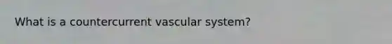 What is a countercurrent vascular system?