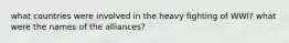 what countries were involved in the heavy fighting of WWI? what were the names of the alliances?