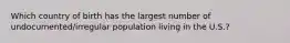 Which country of birth has the largest number of undocumented/irregular population living in the U.S.?