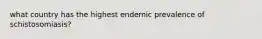 what country has the highest endemic prevalence of schistosomiasis?