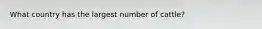 What country has the largest number of cattle?