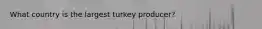 What country is the largest turkey producer?