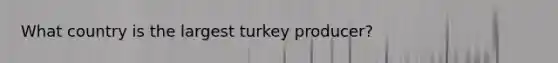 What country is the largest turkey producer?