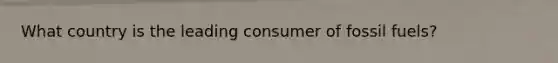 What country is the leading consumer of fossil fuels?