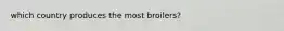 which country produces the most broilers?