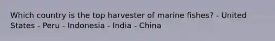 Which country is the top harvester of marine fishes? - United States - Peru - Indonesia - India - China