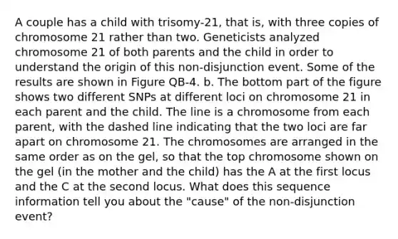 A couple has a child with trisomy-21, that is, with three copies of chromosome 21 rather than two. Geneticists analyzed chromosome 21 of both parents and the child in order to understand the origin of this non-disjunction event. Some of the results are shown in Figure QB-4. b. The bottom part of the figure shows two different SNPs at different loci on chromosome 21 in each parent and the child. The line is a chromosome from each parent, with the dashed line indicating that the two loci are far apart on chromosome 21. The chromosomes are arranged in the same order as on the gel, so that the top chromosome shown on the gel (in the mother and the child) has the A at the first locus and the C at the second locus. What does this sequence information tell you about the "cause" of the non-disjunction event?