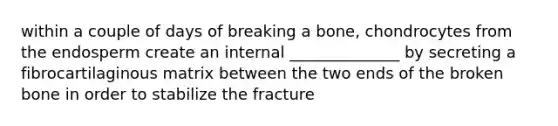 within a couple of days of breaking a bone, chondrocytes from the endosperm create an internal ______________ by secreting a fibrocartilaginous matrix between the two ends of the broken bone in order to stabilize the fracture