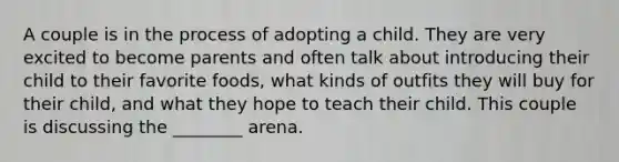 A couple is in the process of adopting a child. They are very excited to become parents and often talk about introducing their child to their favorite foods, what kinds of outfits they will buy for their child, and what they hope to teach their child. This couple is discussing the ________ arena.