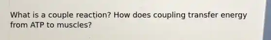 What is a couple reaction? How does coupling transfer energy from ATP to muscles?